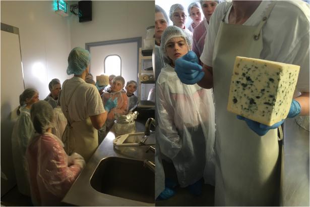 dégustation du bleu d'Auvergne