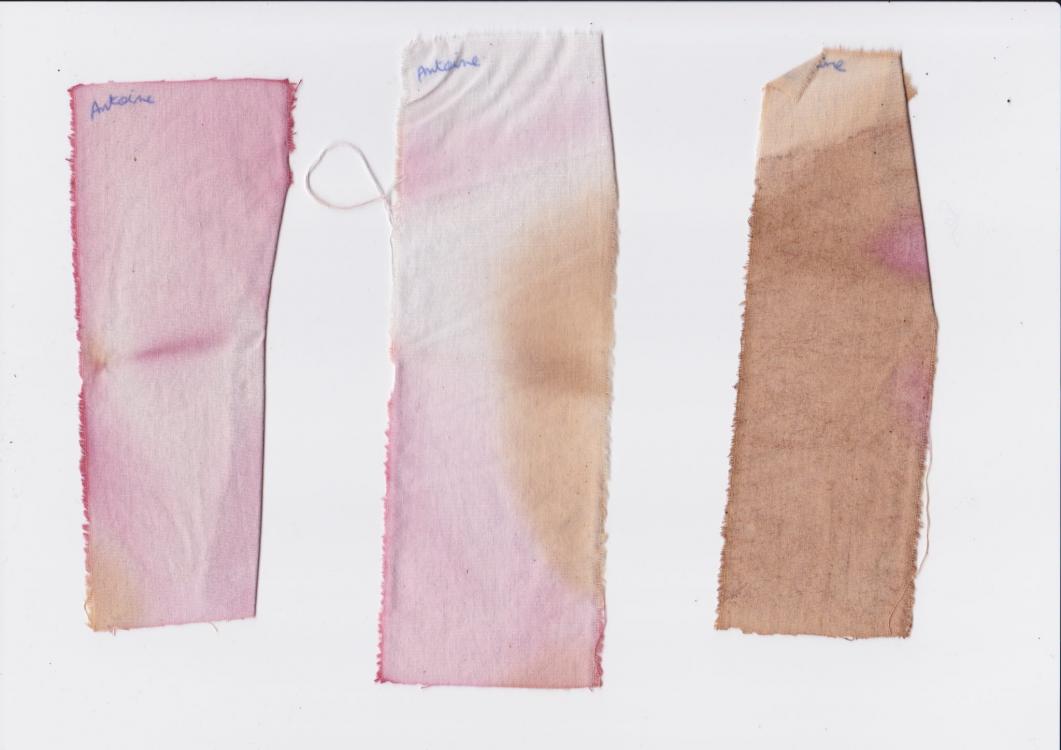 Teintures de tissu avec de l'encre végétale.