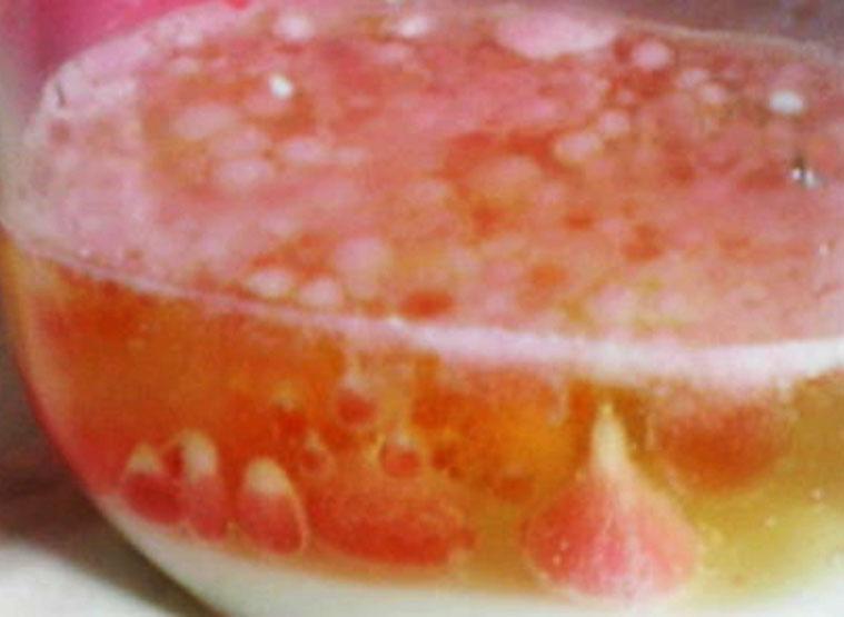 Lave colorée et Arlequin