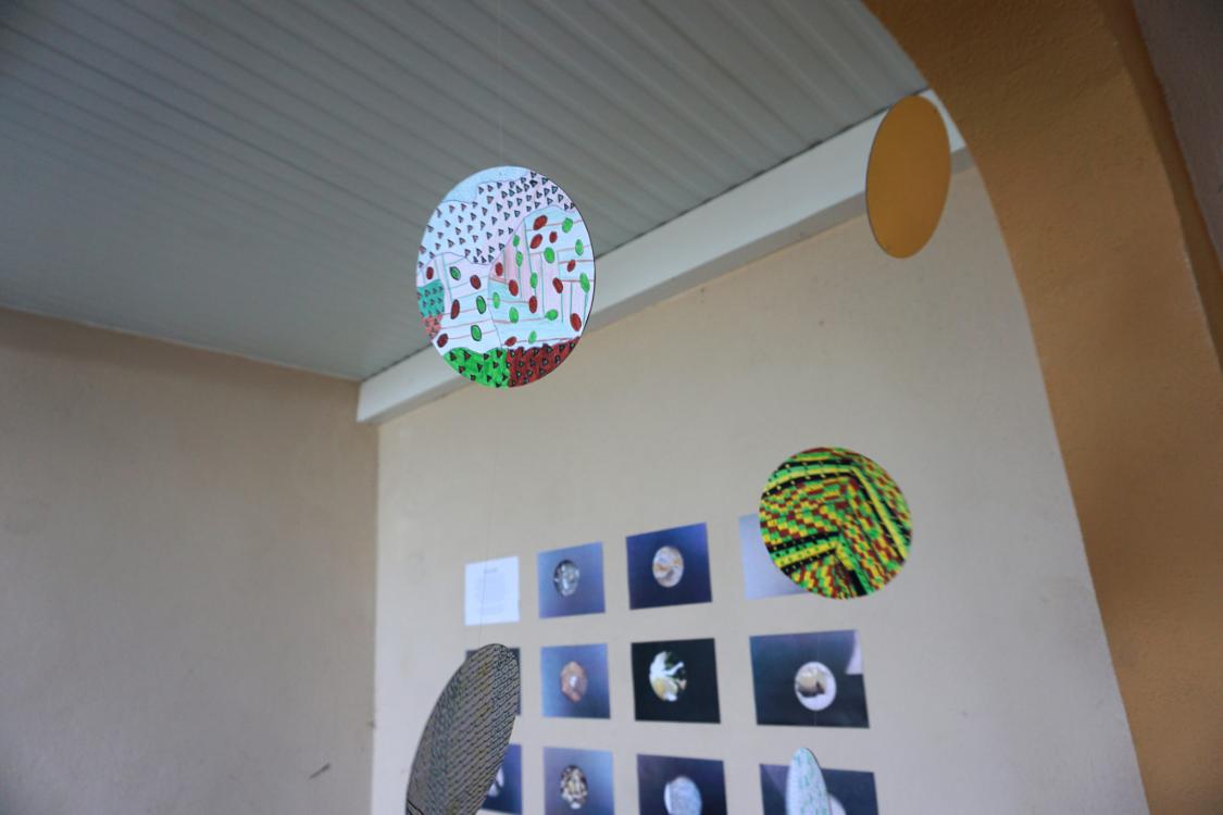 Transmission – Exposition