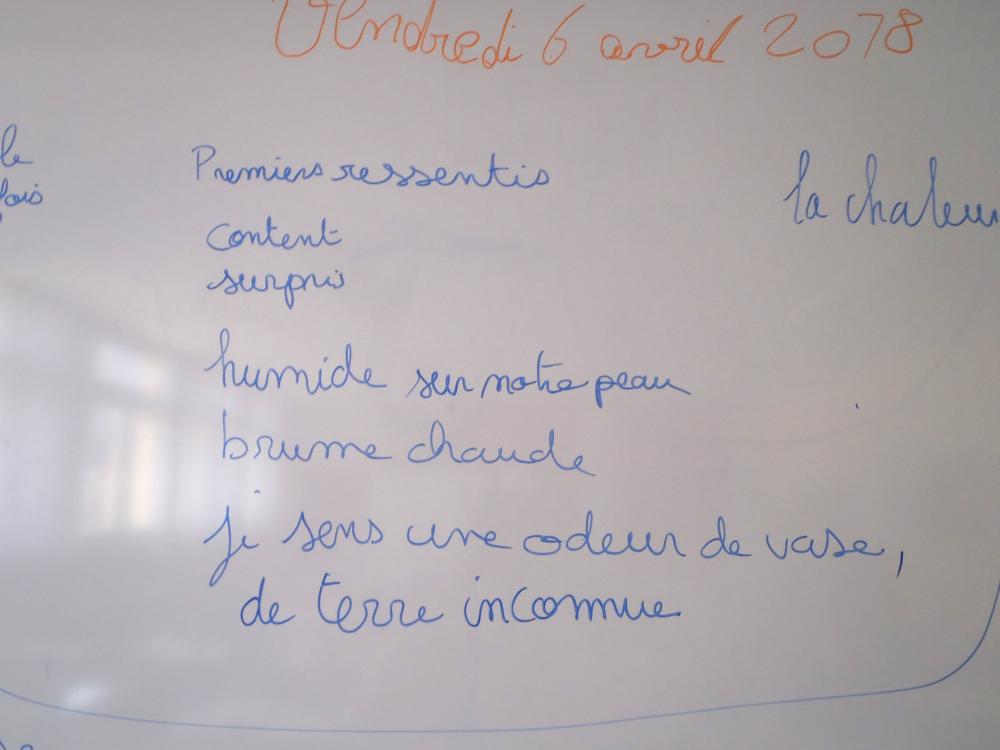 Écrire ensemble
