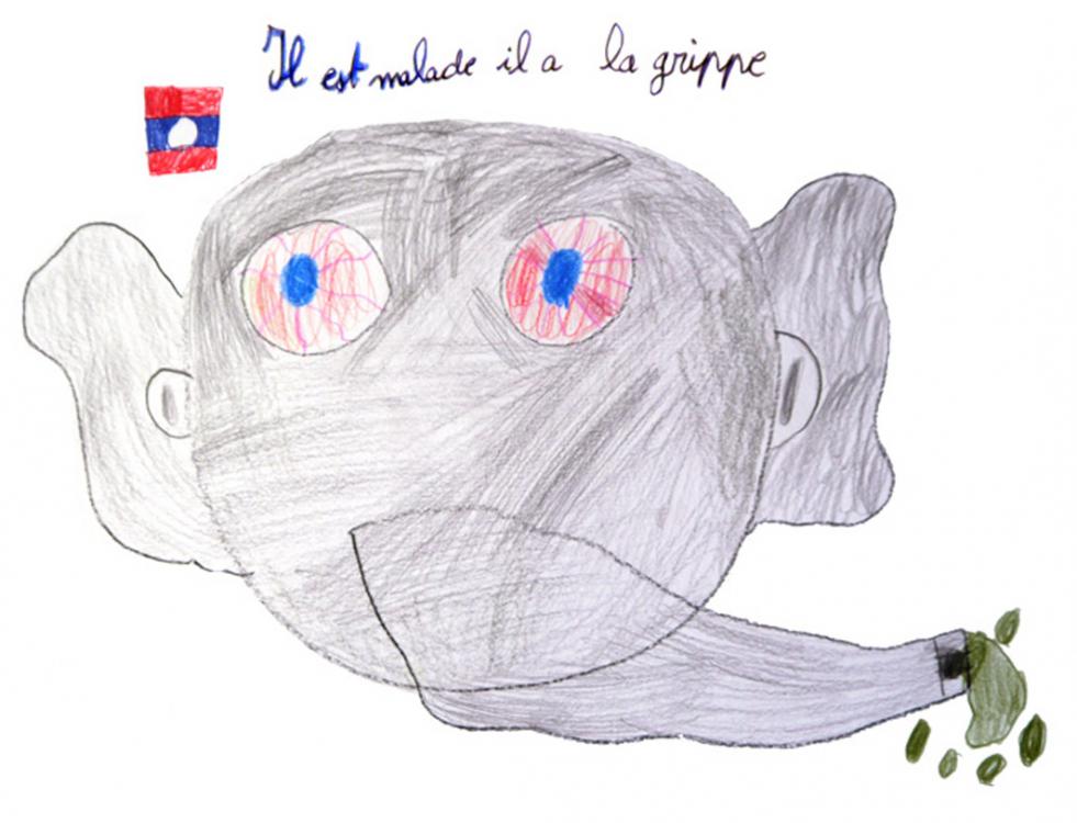 Histoires d’éléphant (7)