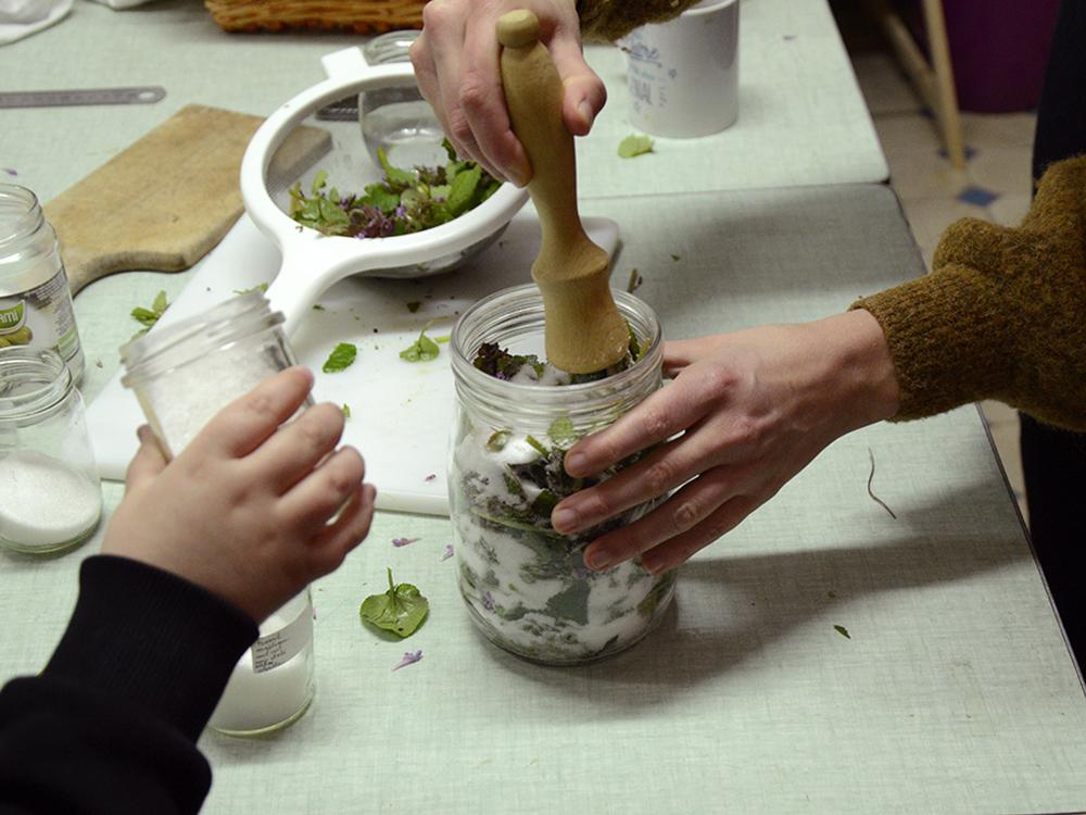 transformation culinaire, cuisine de plantes comestibles