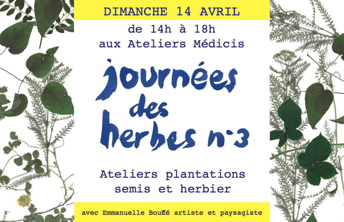 journée des herbes 3 - Emmanuelle Bouffé