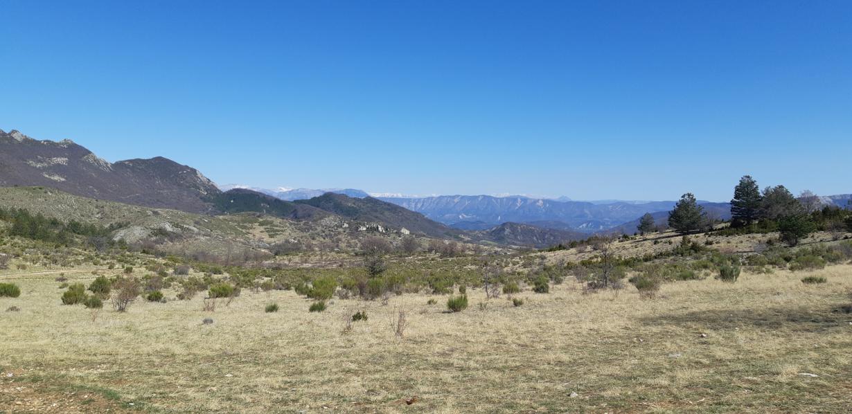 Paysage du Jabron