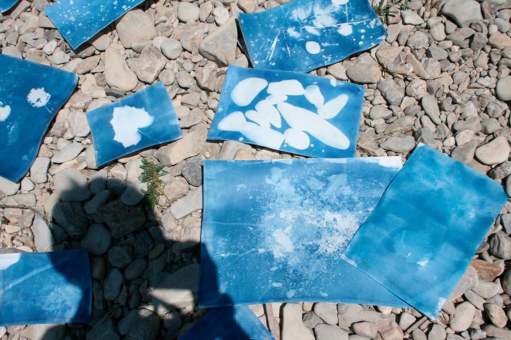 Cyanotypes
