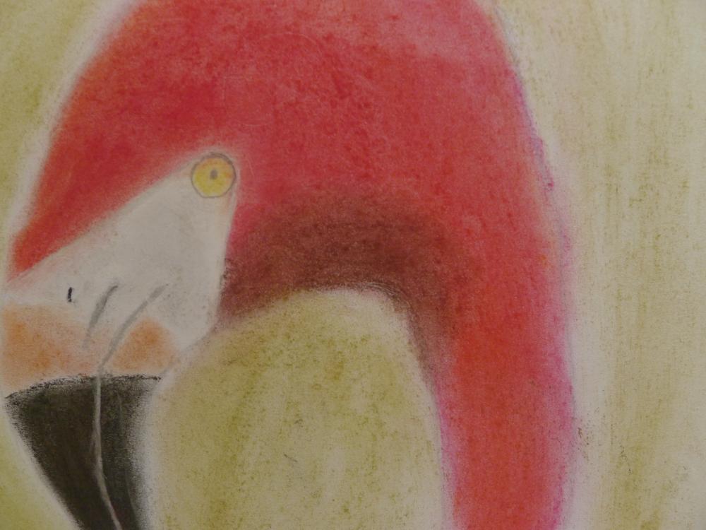 flamant-rose au pastel