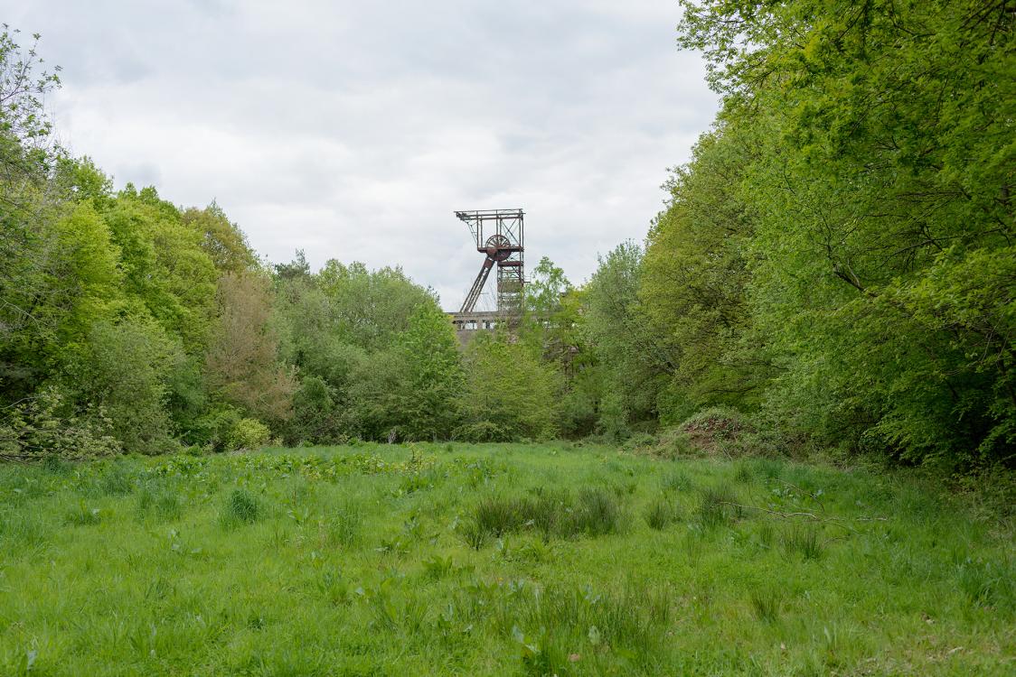 clairière et chevalement en forêt de St Clair