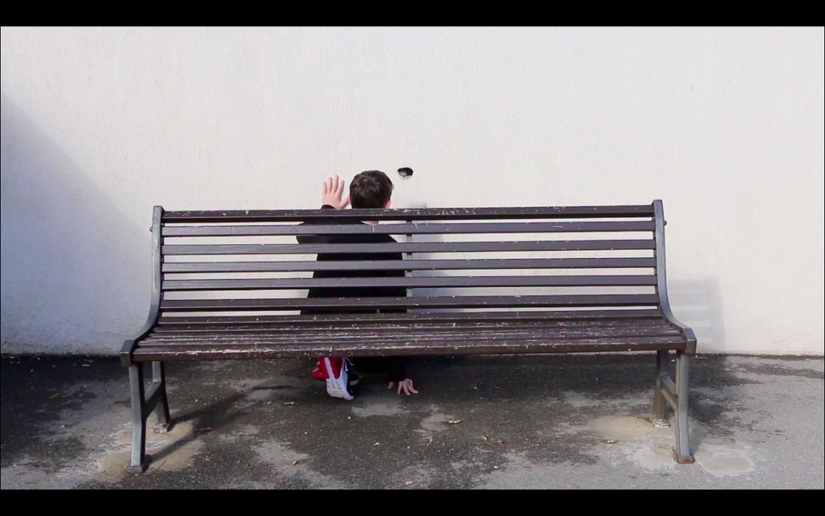 'Dans un petit trou vit une chouette ...' vidéo Hd, son