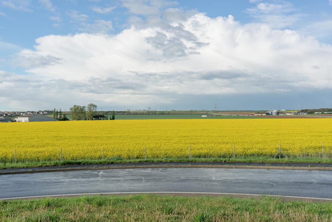 plaine panorama 02
