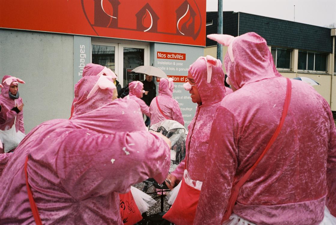 Les cochons