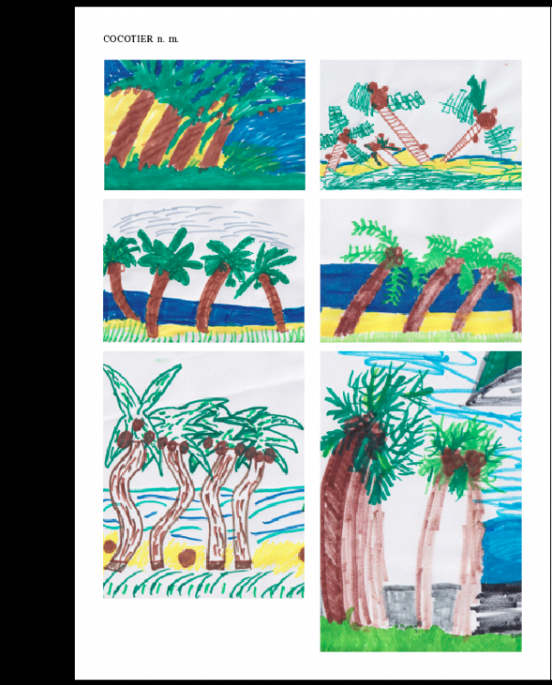 cocotiers