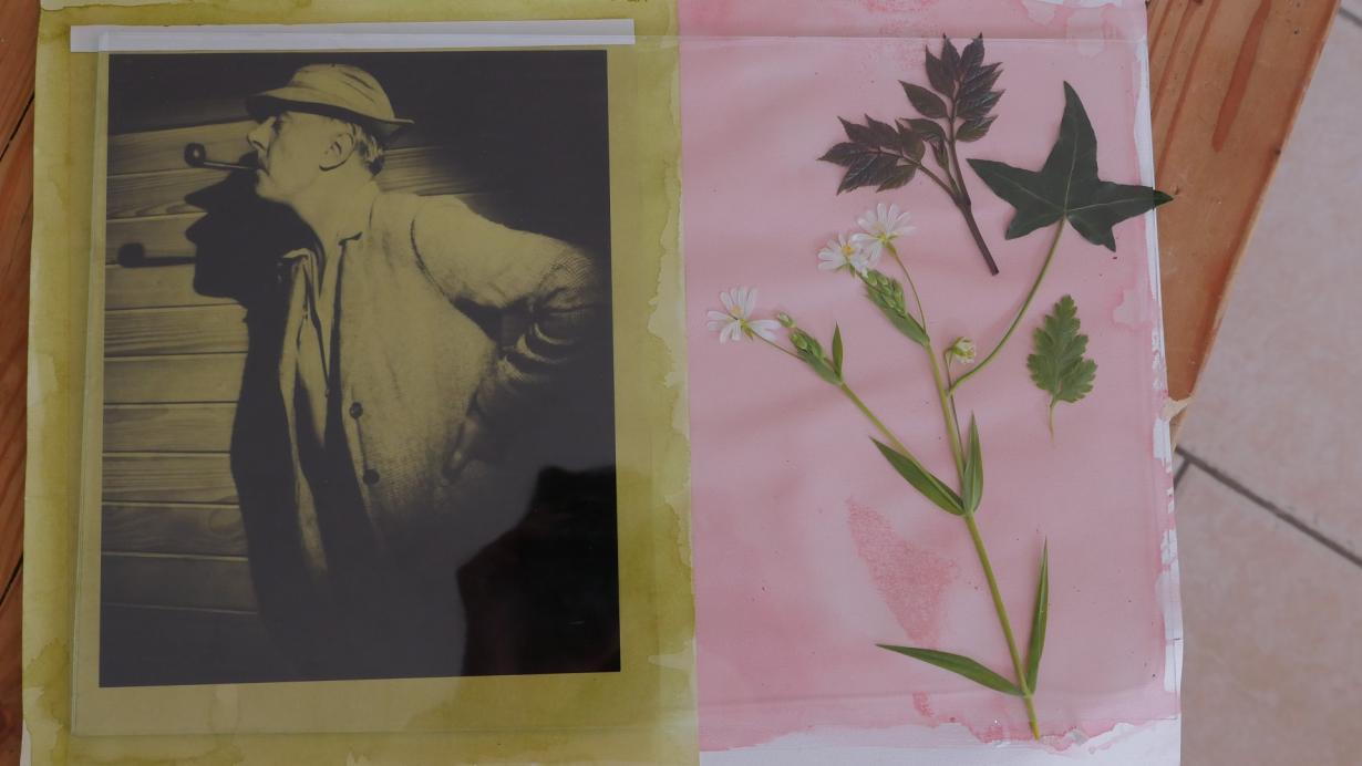 Préparation d'un anthotype