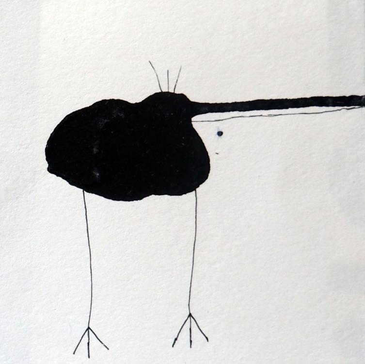 Drôle d'oiseau