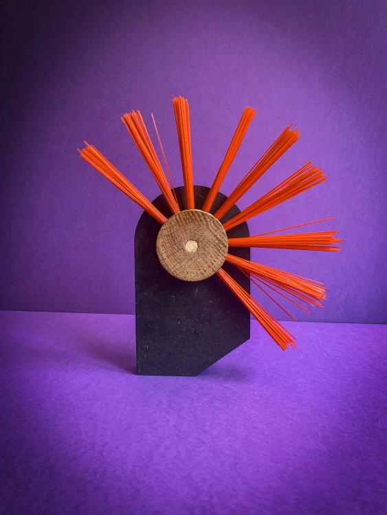 Maquette de brosse, Margot Behr, François Gérard, janvier 2021