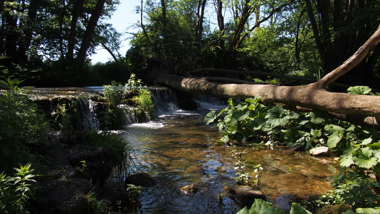 La rivière l'Ornain, en Meuse. 