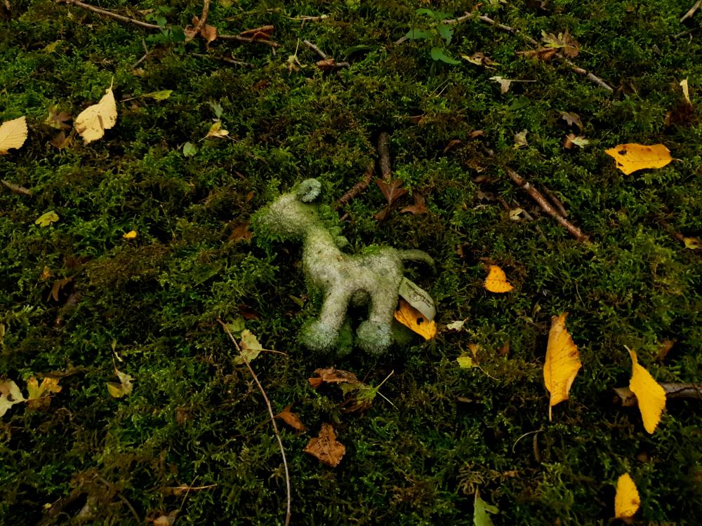 Une peluche trouvée dans une forêt, que s'est-il passé ? Et que se passera-t-il ?