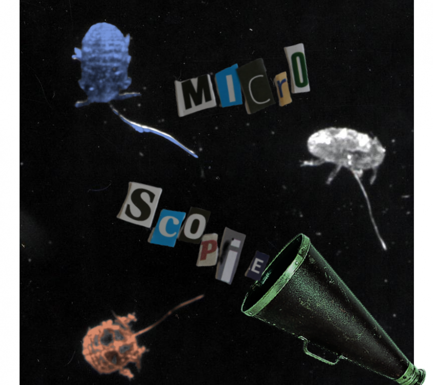 Affiche projet microscopie 