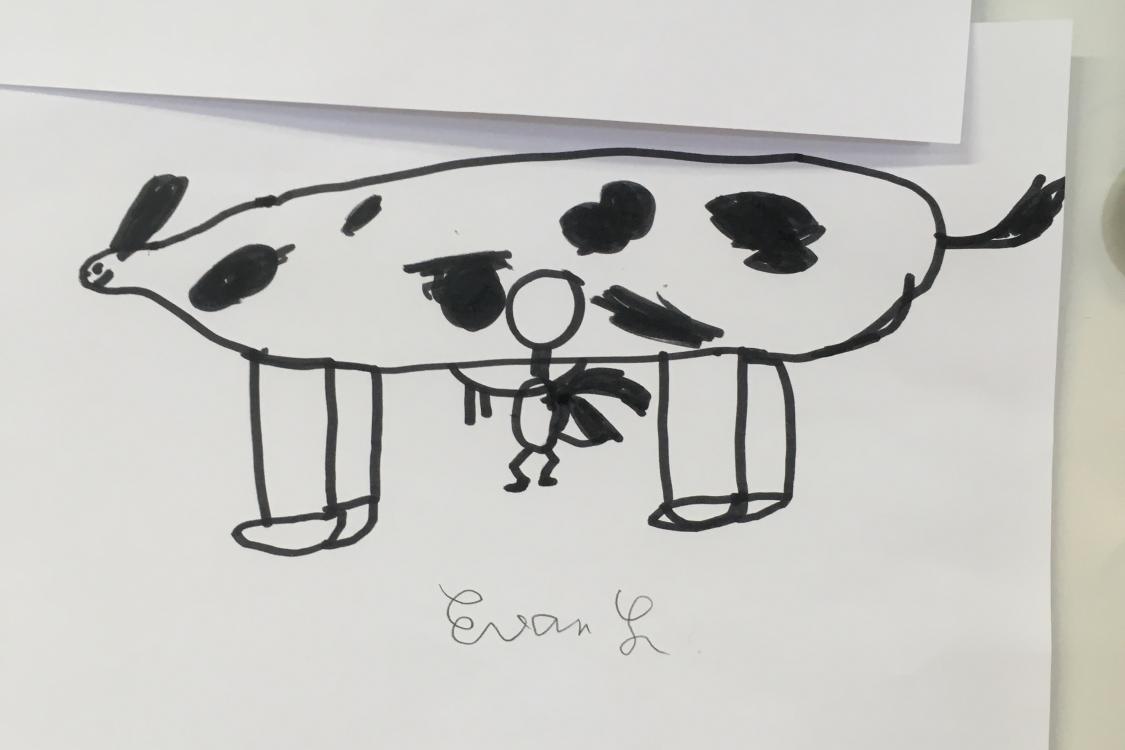 La vache d'Evan