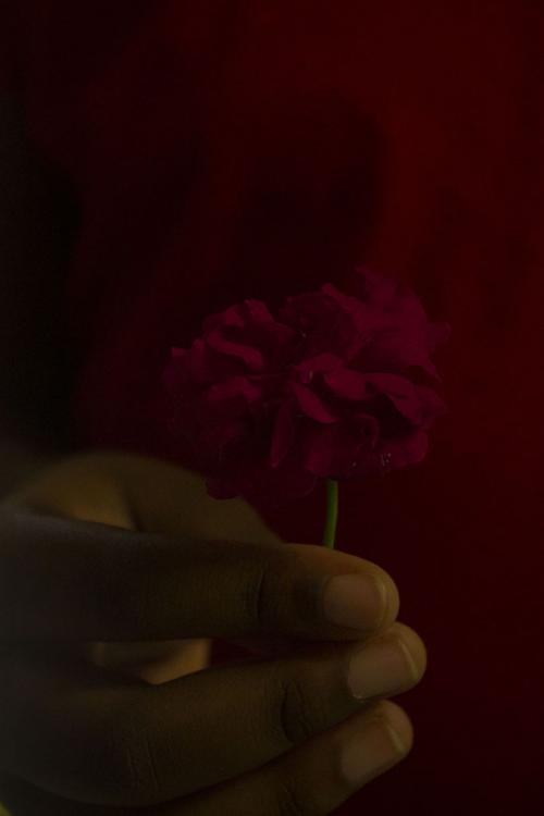 fleur