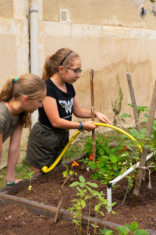 Installation du jardin