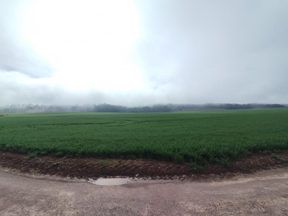 champ à frétigney
