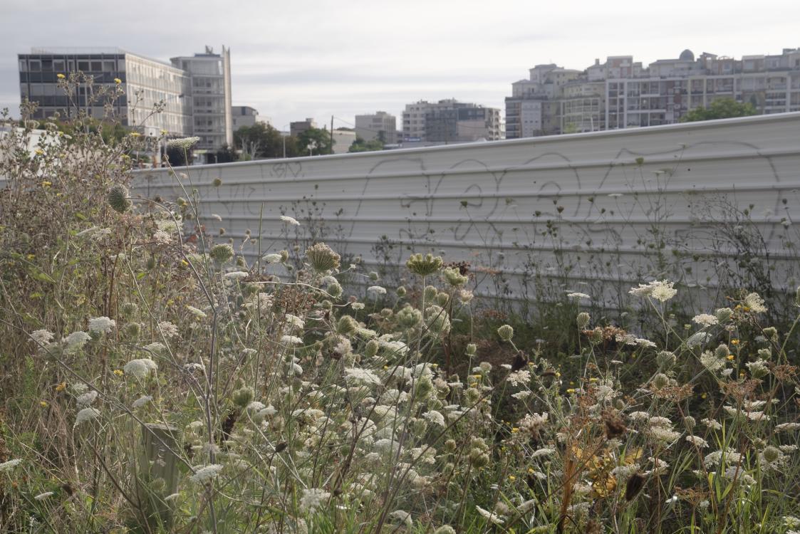 Rue de la Garenne, 2024 © Juliette Fréchuret