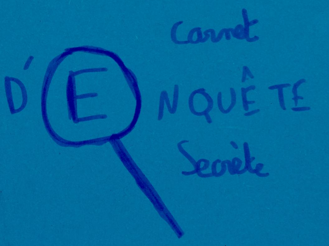 Carnets d’enquête personnels des élèves
