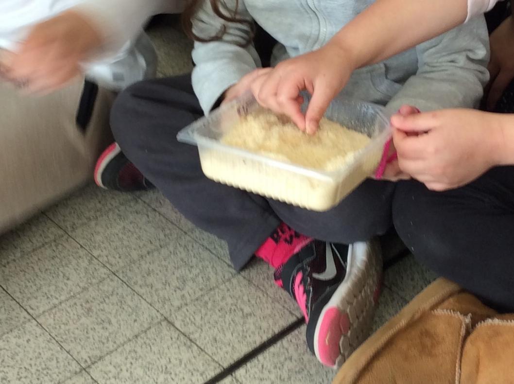 voici la sciure utilisée