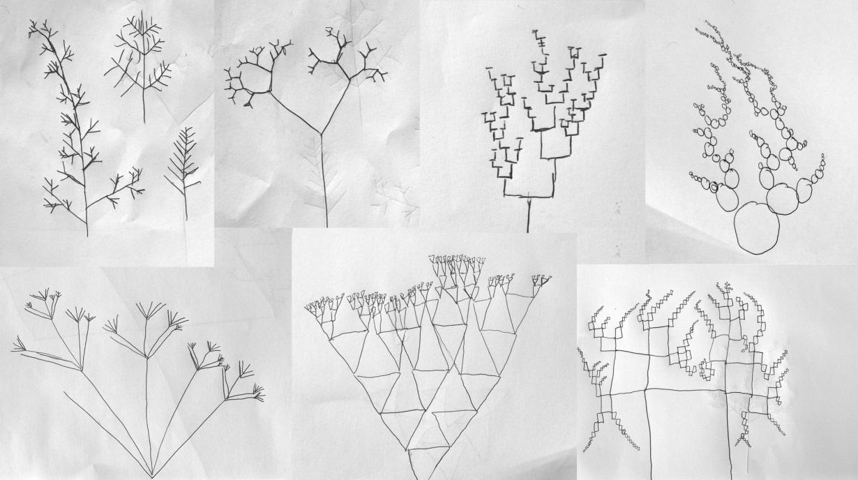 Arborescences dont le module de base est choisi par les enfants.