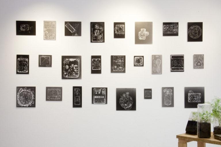 Les plantations dessinées/photographiées des CM2
