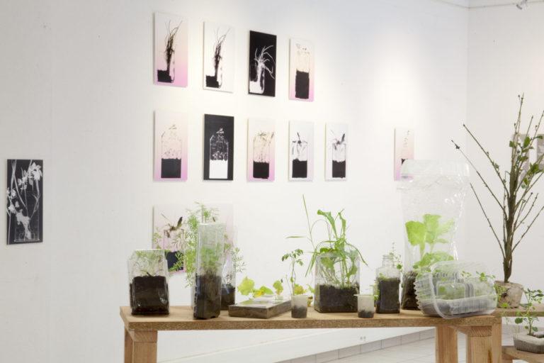 8# Restitution : Exposition