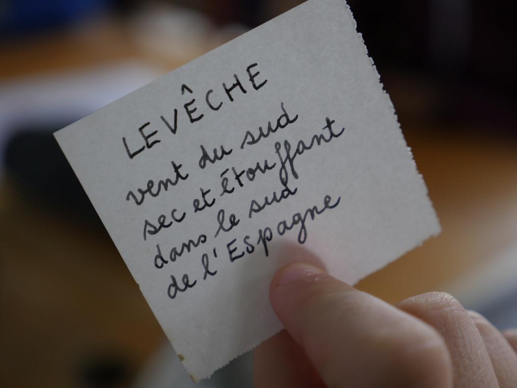 Levêche vent