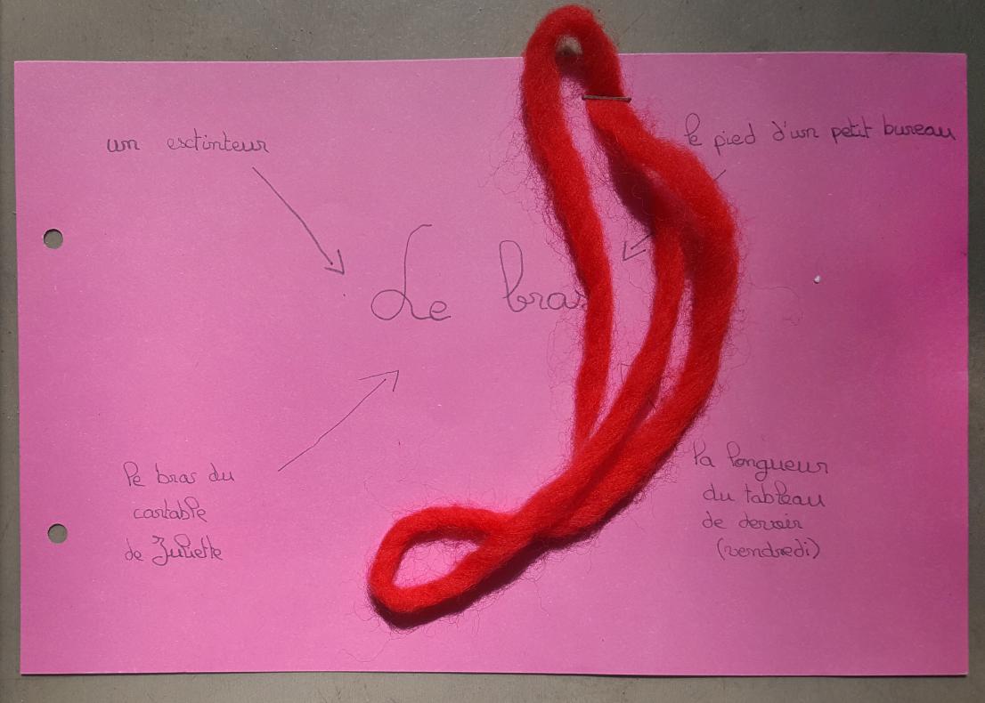 Page du cahier de bord des élèves : la partie du corps choisie et les éléments correspondants mesurés.