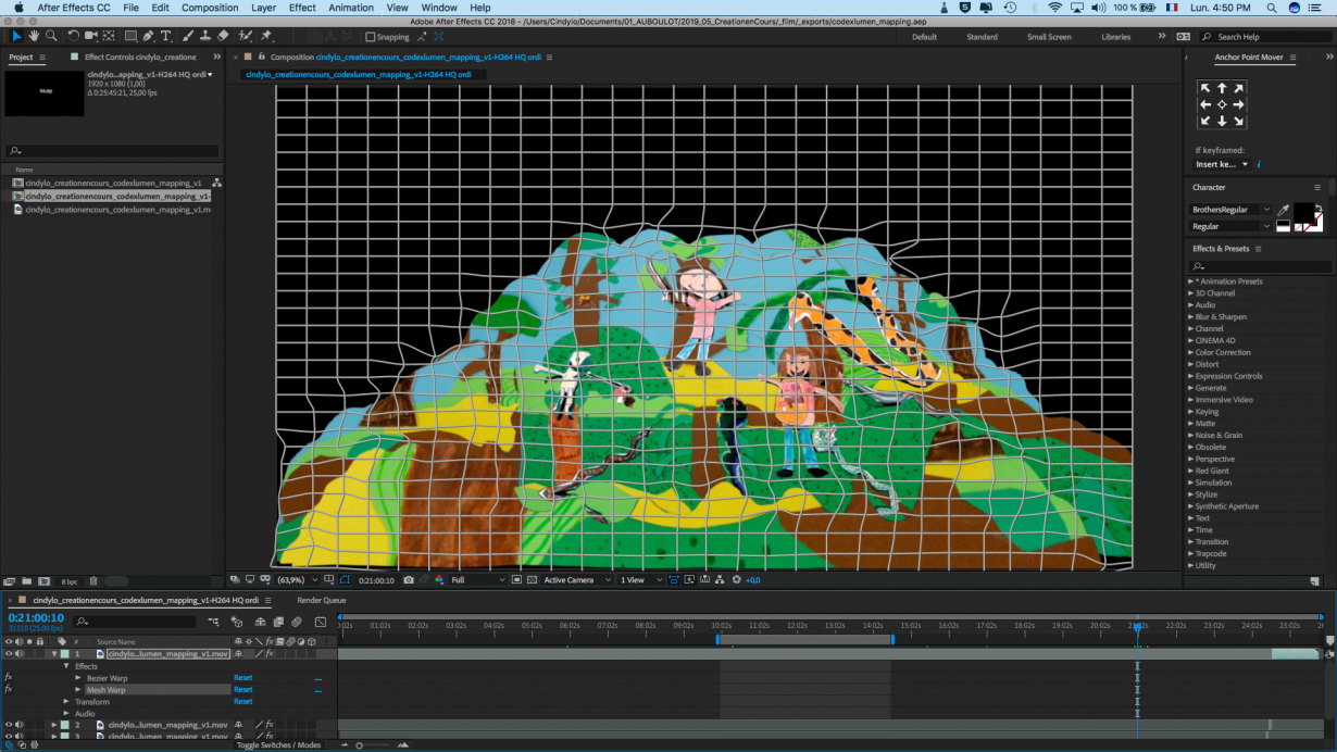 "Mapping" de l'image rendue par rapport aux conditions techniques de projection 