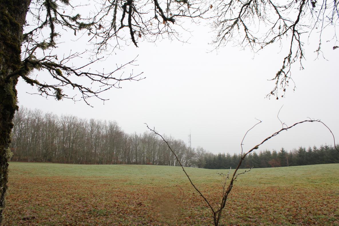 paysage