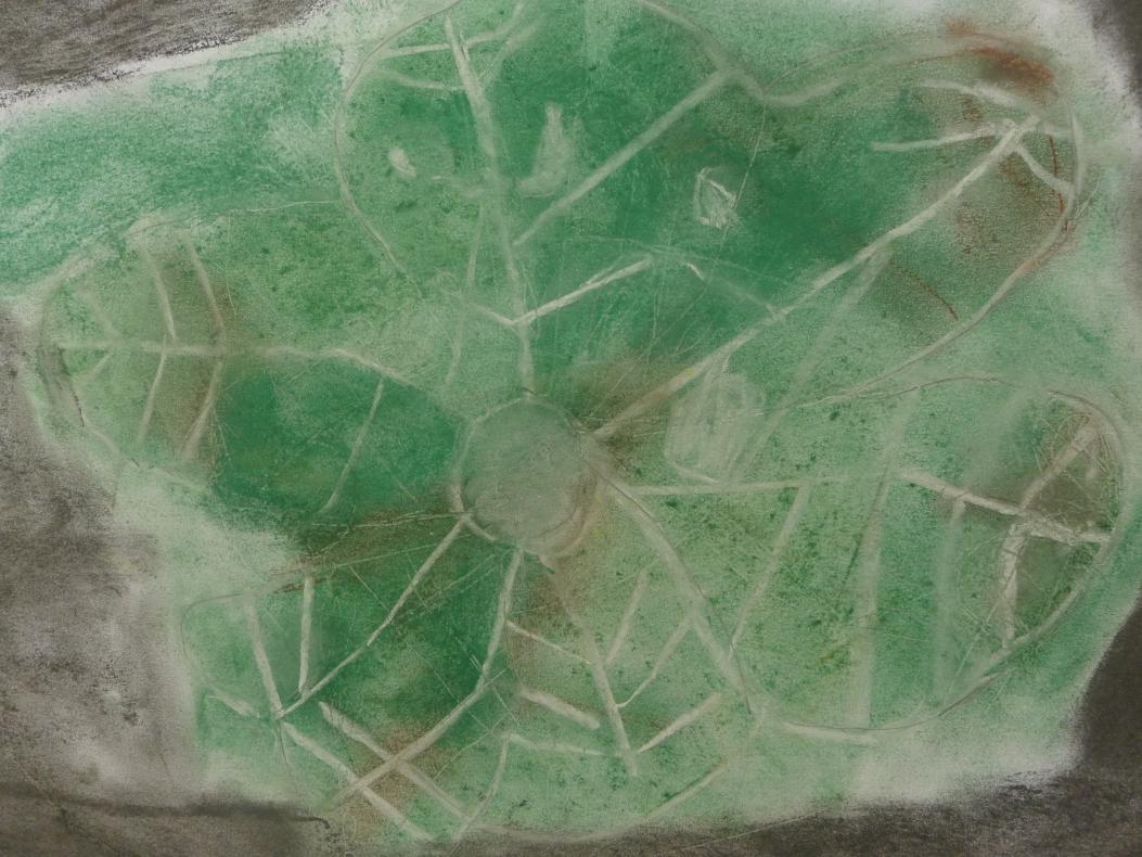 feuille de lotus au pastel