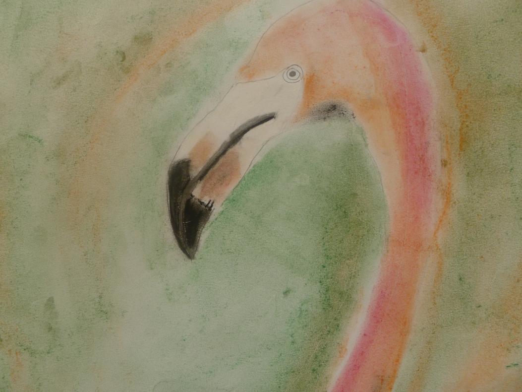 flamant-rose au pastel