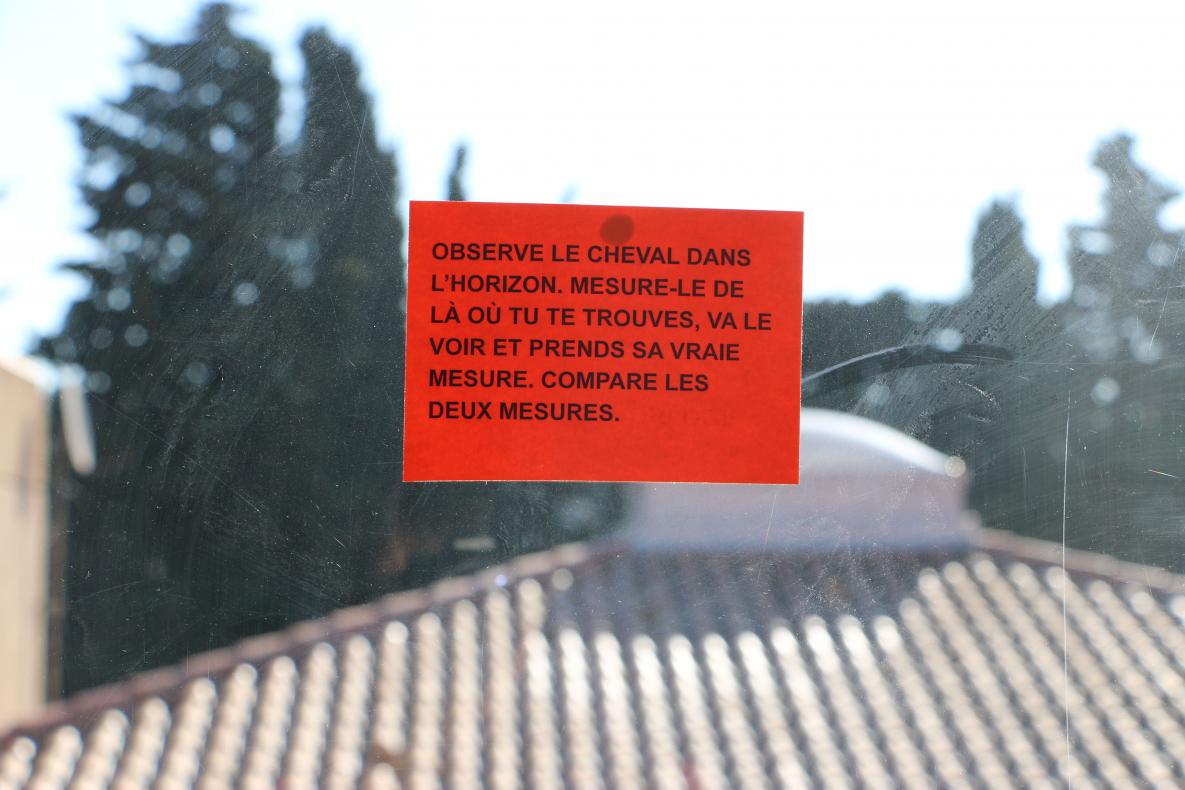 Observe le cheval dans l'horizon