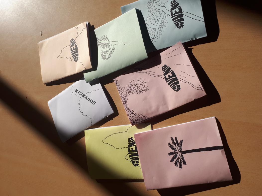 les carnets de voyage