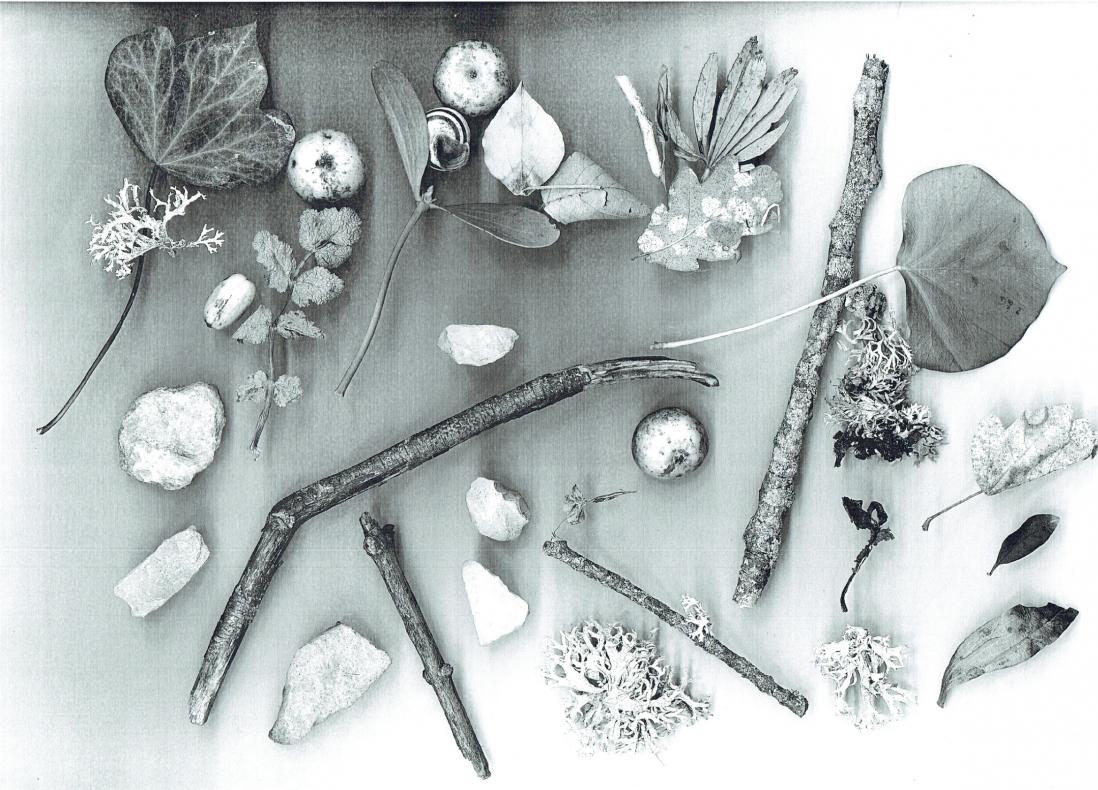 objets ramassés