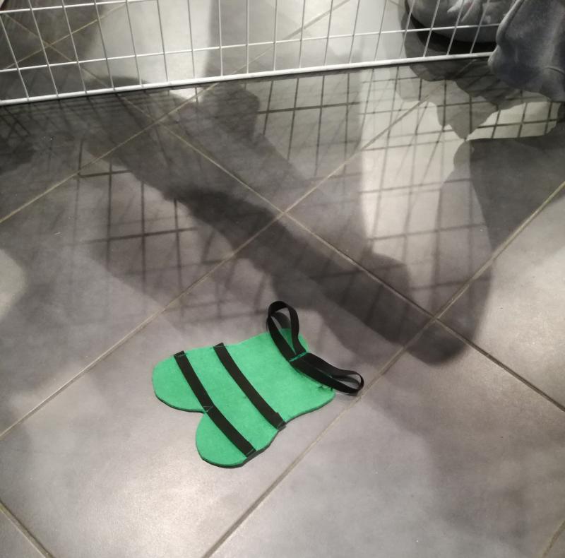 chaussure pour deux pieds
