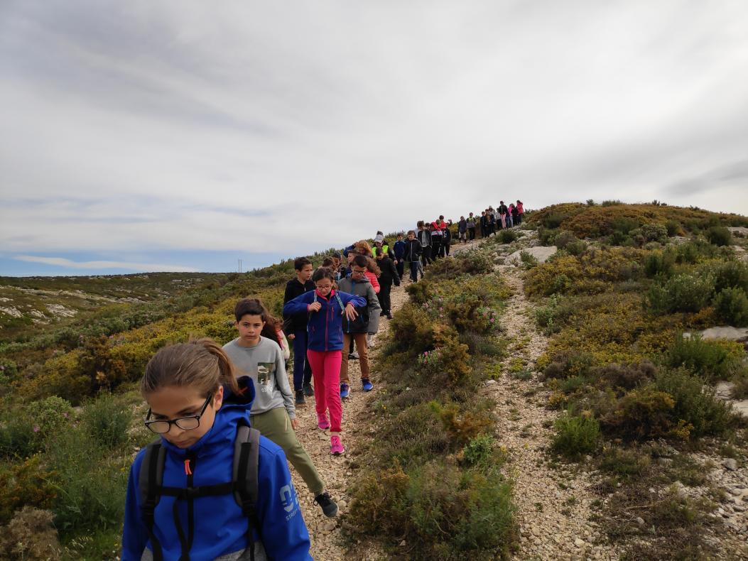 sortie des CM2 aux collines du Rove.