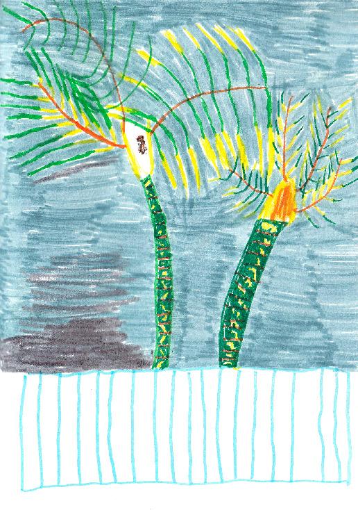 Dessin par Amélye