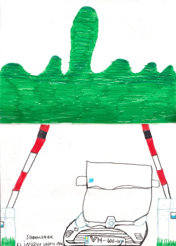 Carnet d'Amélye 