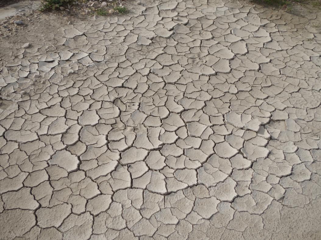 Les salins asséchés