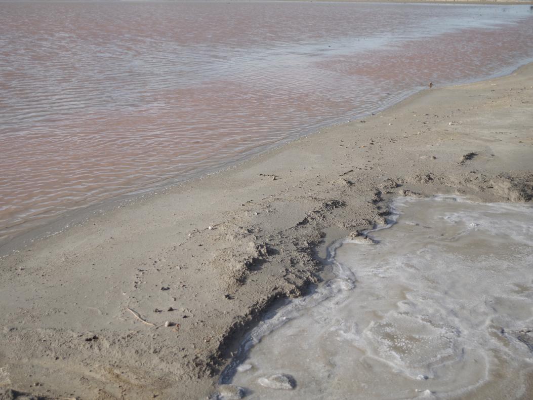 Les salins