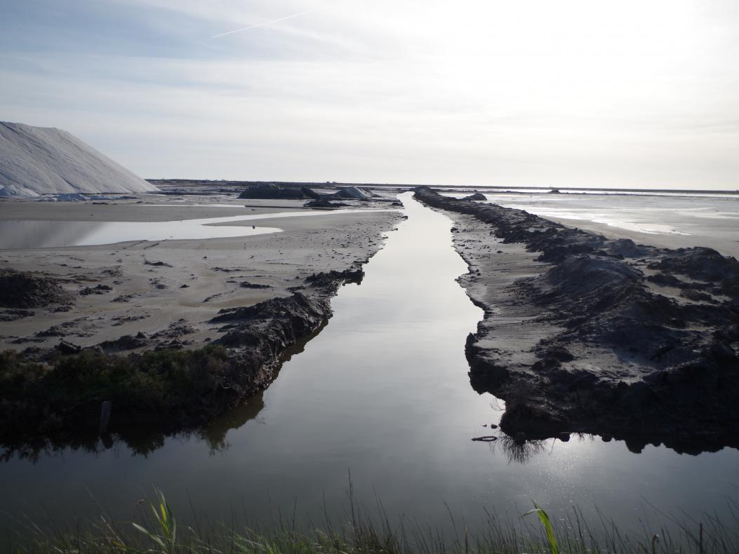 Les salins