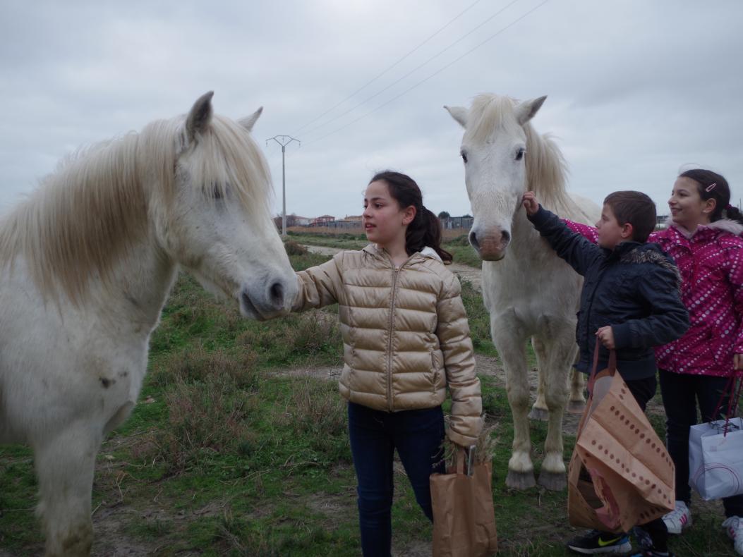 Les enfants au milieu des cheveux camarguais
