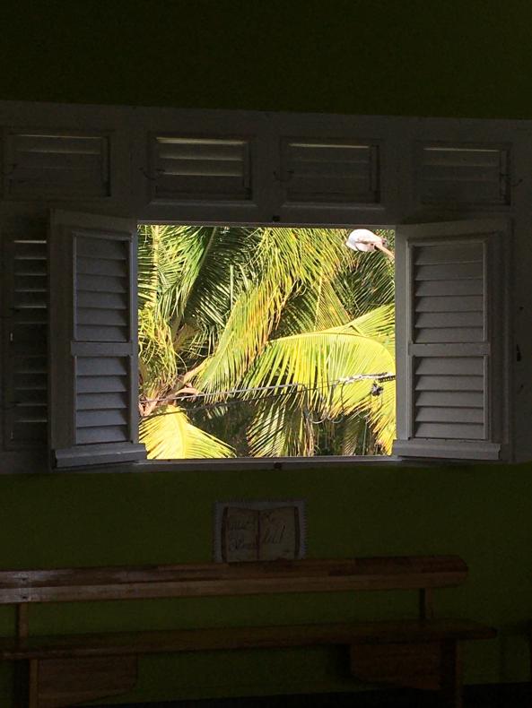 Vue de la salle de classe 